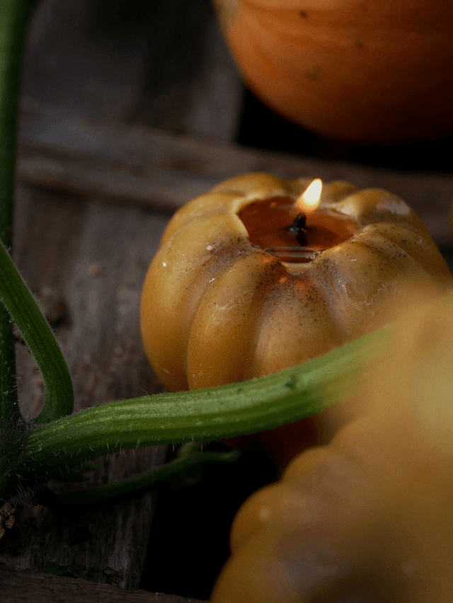 Bougie CITROUILLE