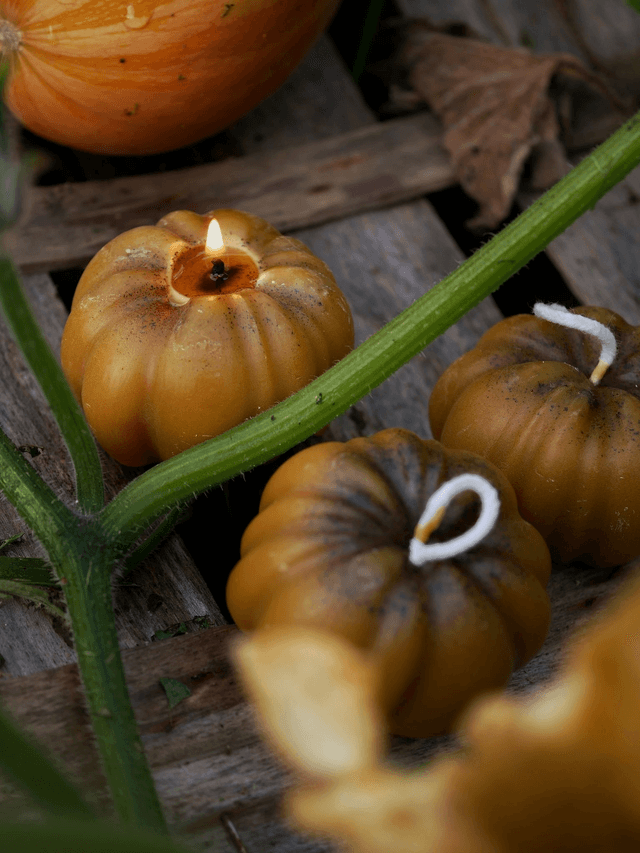 Bougie CITROUILLE