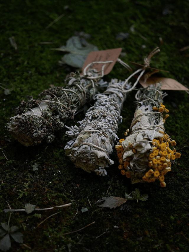 Coffret Volutes de Terres - SFERES