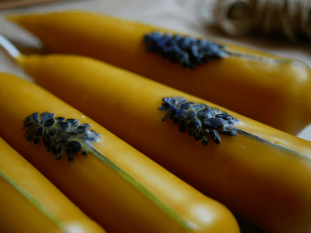 Bougies trempées MUSCARI