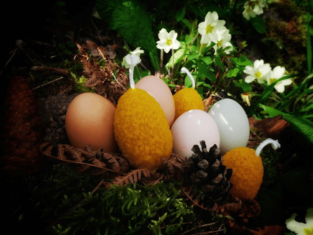Bougie oeuf fleuri