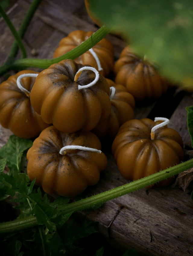 Bougie CITROUILLE