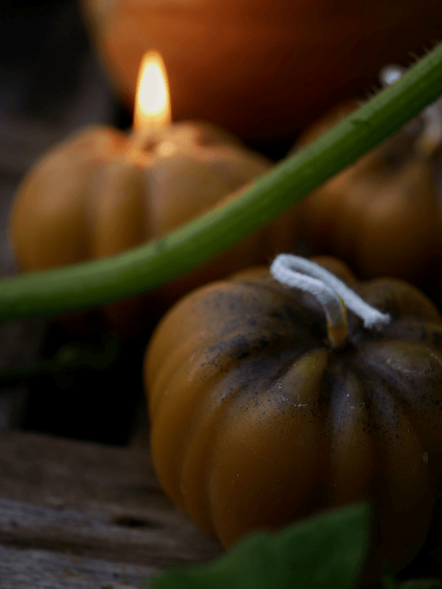 Bougie CITROUILLE