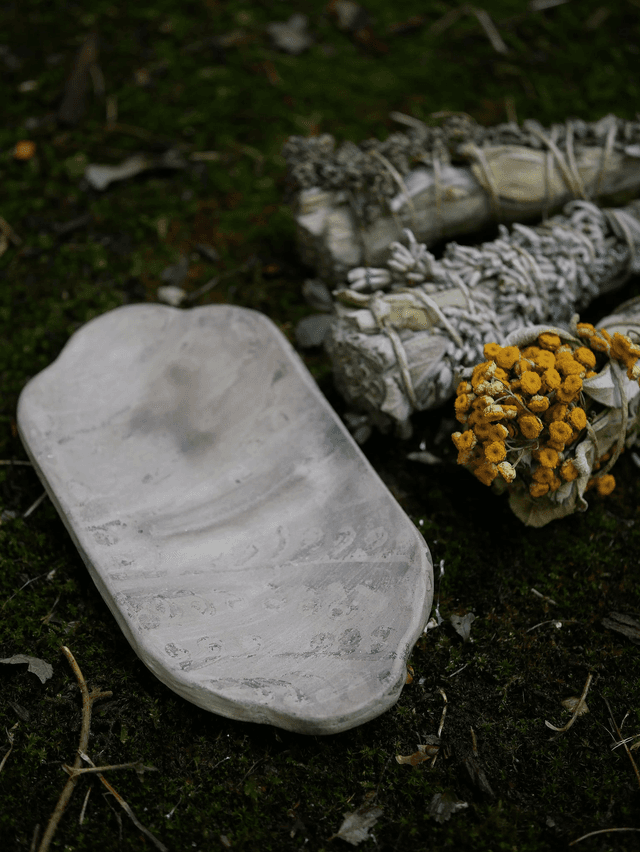 Coffret Volutes de Terres - SFERES