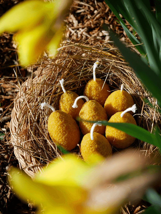 Bougie oeuf fleuri
