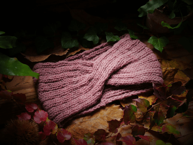 Bandeau ASPLENIUM
